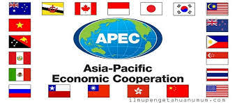 Hướng dẫn trình tự thủ tục xét, cho phép sử dụng thẻ doanh nhân APEC